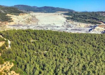 Erdoğan, Akbelen kararını Muğla adayının talebi üzerine iptal etmiş