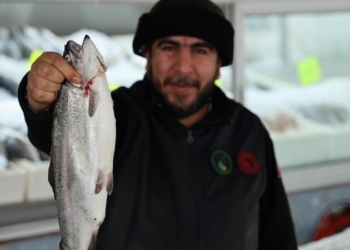 Denizi olmayan Kahramanmaraş, balıkçılıkta zirvede: Yılda 6 ton balık üretiliyor