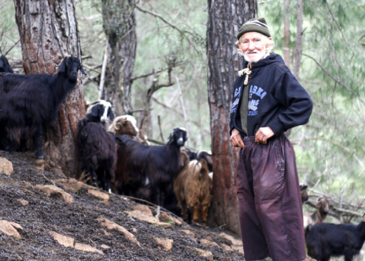 Keçileri çalınınca insanlara küstü, 17 yıldır dağda yaşıyor: 'Keçilerim olmasa buralarda duramam' 1 Keçileri çalınınca insanlara küstü, 17 yıldır dağda yaşıyor: ‘Keçilerim olmasa buralarda duramam’