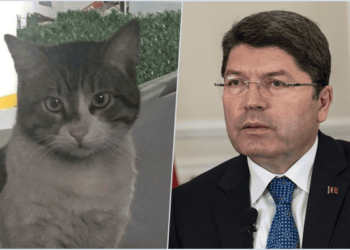 Adalet Bakanı Tunç, Eros için kanuna sığındı: En yüksek ceza verildi 2 Adalet Bakanı Tunç, Eros için kanuna sığındı: En yüksek ceza verildi