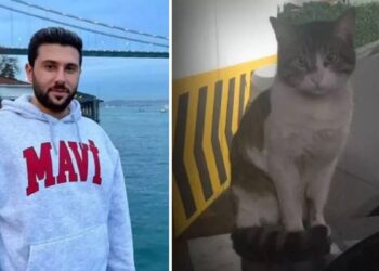 Kedi Eros’a işkence davası yarın: ‘İbrahimKeloğlantutuklansın’ etiketi gündem oldu