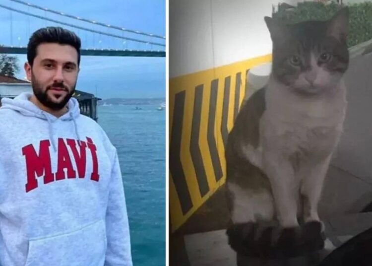 Kedi Eros’a işkence davası yarın: ‘İbrahimKeloğlantutuklansın’ etiketi gündem oldu