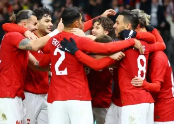 A Milliler, Avusturya karşısında