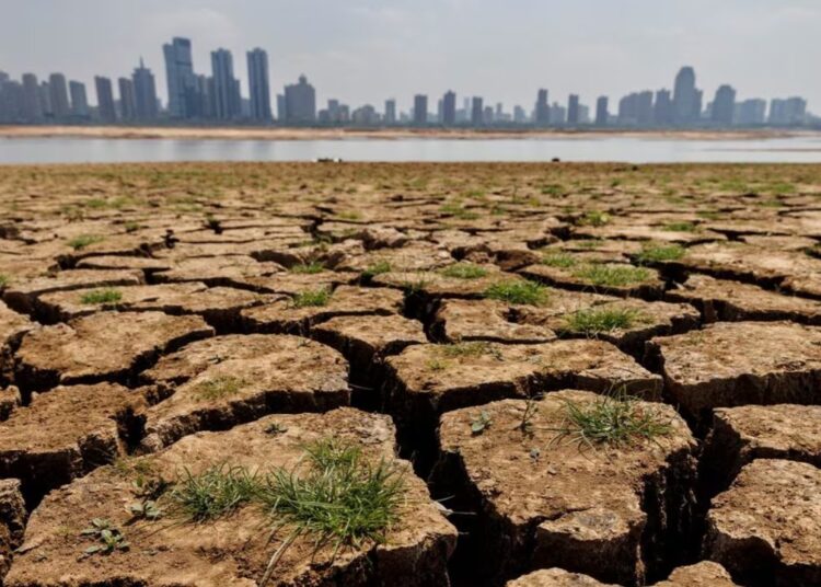 Küresel ısınma: ‘Türkiye’nin iklimi Mısır’a benzeyebilir’