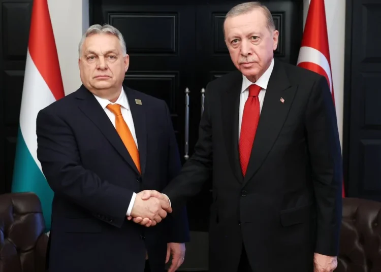 “Kahraman (!) Erdoğan, Avrupa’yı göçmenlerden kurtardı”