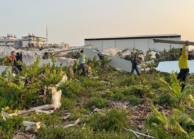 Hortum seraları parçaladı, ağaçları kökünden söktü 1 Hortum seraları parçaladı, ağaçları kökünden söktü