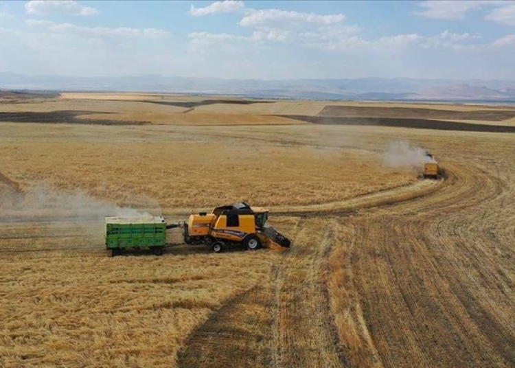 Türkiye geçen yıl 14 milyar dolarlık tarım ürünü ithal etti