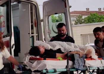 ‘Asmayı neden kestin’ deyip yeğenine kurşun sıktı