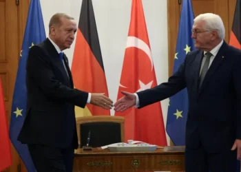 Almanya’da Steinmeier’e ‘Erdoğan ile açık konuş’ çağrısı