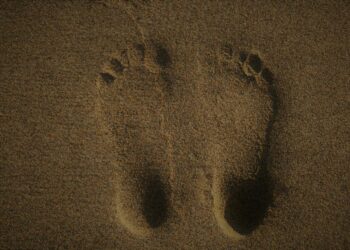 Kalp yetmezliğini ayaklardan tespit eden yapay zeka destekli cihaz geliştirildi