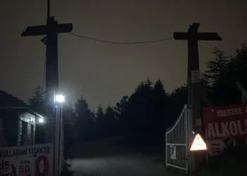 Bungalov imalatçısı, mesire alanı işletmecisi ve çalışanını öldürdü