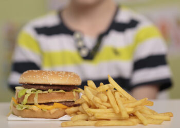 Ergenlik döneminde yenen abur cubur, beyinde kalıcı hasar bırakabiliyor