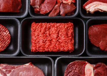 Sakarya’da Ramazan denetimi: At ve eşek eti satmışlar