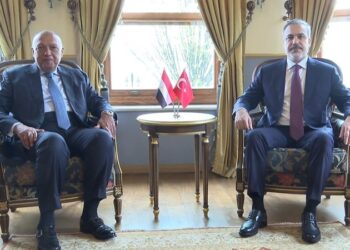 Hakan Fidan, Mısırlı mevkidaşıyla görüştü