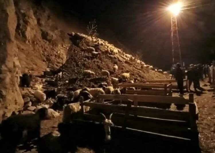 Hakkari'de heyelan: Koyunlar toprak altında kaldı 1 Hakkari’de heyelan: Koyunlar toprak altında kaldı