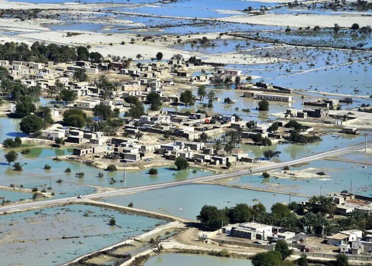 Selin vurduğu İran’da timsah alarmı verildi