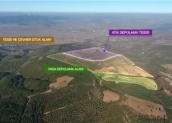 Davanın neticelenmesini beklemeden ormanı kırdılar