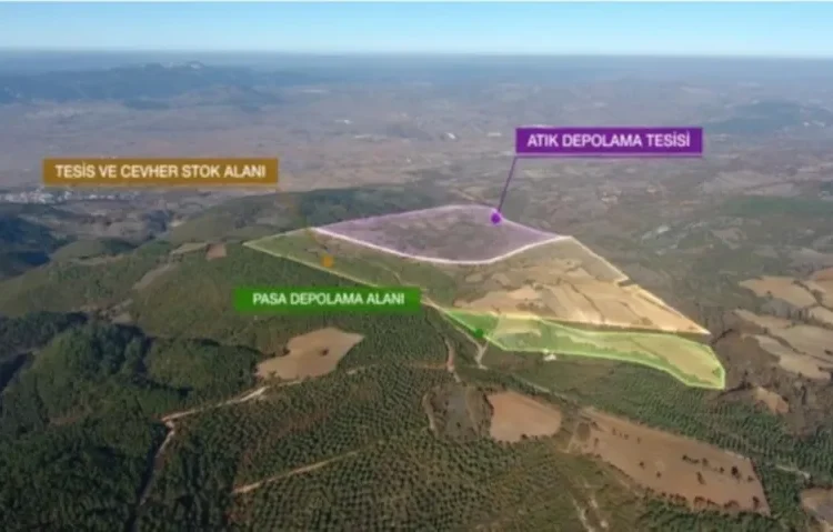 Davanın neticelenmesini beklemeden ormanı kırdılar