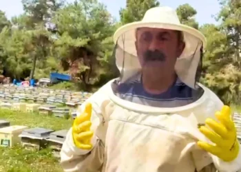 Kadıköy’de seçimi kaybedince Tunceli’ye dönüp arıcılık yapmaya başladı