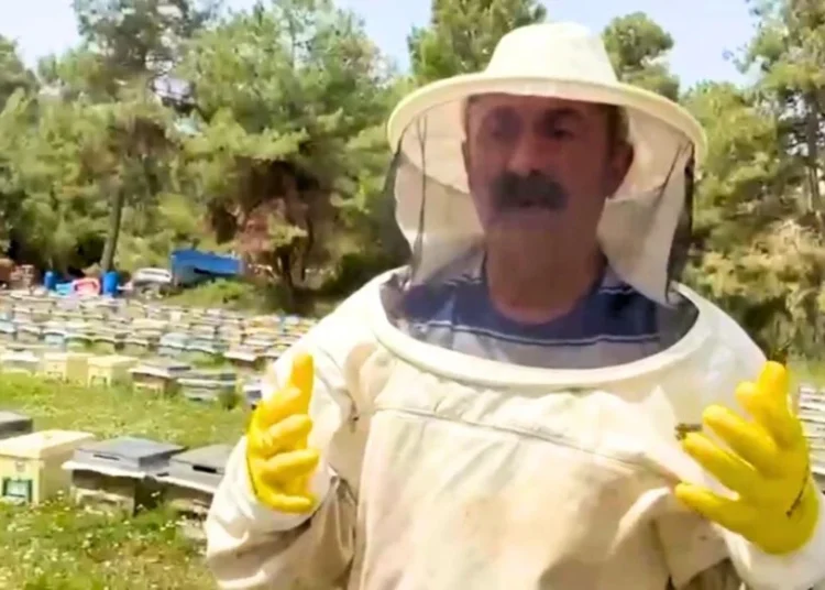 Kadıköy’de seçimi kaybedince Tunceli’ye dönüp arıcılık yapmaya başladı