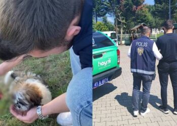 Köpeğe alkol içirip, sosyal medyada paylaştı!