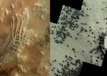 Mars’ta örümcekleri andıran izler tespit edildi