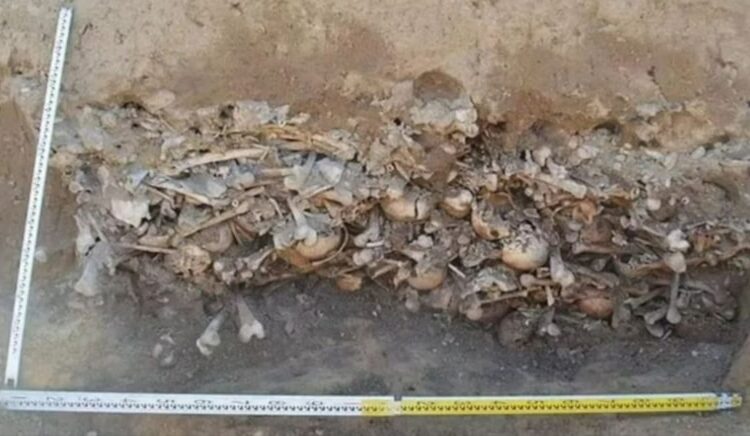 Kafaları kesilmiş 450 iskeletin yer aldığı toplu mezar tüyleri ürpertti 1 Kafaları kesilmiş 450 iskeletin yer aldığı toplu mezar tüyleri ürpertti