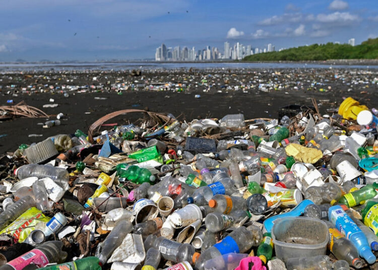 Yediğimiz içtiğimiz plastik! Mikroplastikler insanlığı tehdit ediyor 1 Yediğimiz içtiğimiz plastik! Mikroplastikler insanlığı tehdit ediyor