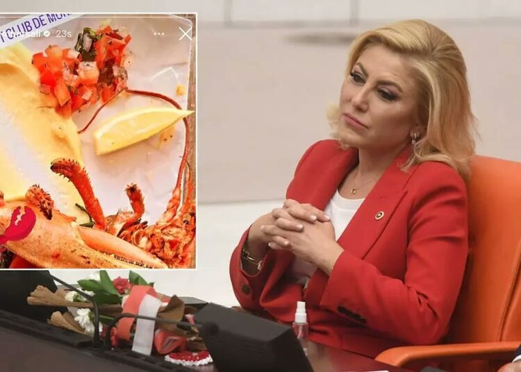 AK Partili Şebnem Bursalı’dan ‘ıstakoz’ savunması: Çarpıtıldı