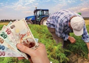 Seçimden 2 gün önce atılan ‘destekleme parası yattı’ mesajı boş çıktı