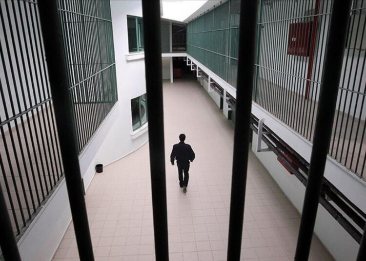 Türkiye'de ceza infaz sisteminin iki temel sorunu: Cezasızlık algısı ve cezaevi popülasyonu 1 Türkiye’de ceza infaz sisteminin iki temel sorunu: Cezasızlık algısı ve cezaevi popülasyonu