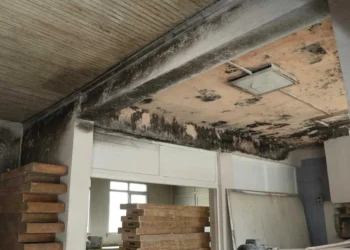 AKP'li belediye harabeyi andıran fırında ekmek üretip vatandaşlara yedirmiş 2 AKP’li belediye harabeyi andıran fırında ekmek üretip vatandaşlara yedirmiş