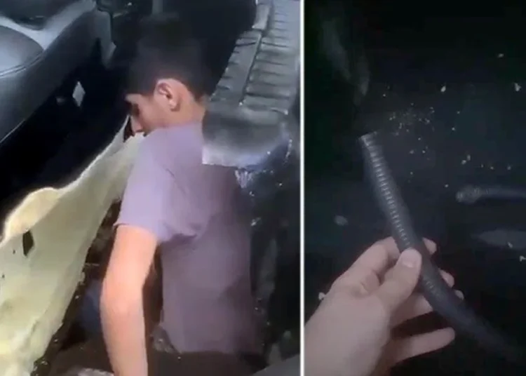 Edirne sınır kapısında yakalandılar: Cip koltuğunun altında hortum sistemi kurup kaçmaya çalıştılar 1 Edirne sınır kapısında yakalandılar: Cip koltuğunun altında hortum sistemi kurup kaçmaya çalıştılar