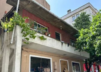 İstanbul’da kan donduran miras cinayeti: Annesi ve kardeşini öldürdü