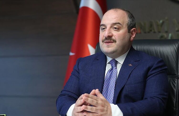 Mustafa Varank, sokak hayvanları tasarısına olumlu bakıyor: Uyutma dahil tüm önerileri destekleyeceğim 1 Mustafa Varank, sokak hayvanları tasarısına olumlu bakıyor: Uyutma dahil tüm önerileri destekleyeceğim