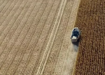 Çiftçi, işleyecek toprak bulamamaktan şikayetçi: Hazine arazilerinin kullanılmasını istiyor