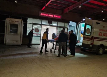 Boşandığı eşinin yeni kocasını ve ayırmaya çalışan kadını öldürdü