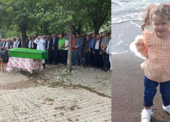Zehirli böcek tarafından ısırılan Gökçe, 5 yaşında hayata veda etti