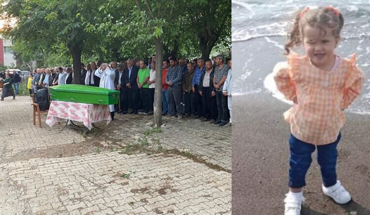 Zehirli böcek tarafından ısırılan Gökçe, 5 yaşında hayata veda etti 1 Zehirli böcek tarafından ısırılan Gökçe, 5 yaşında hayata veda etti