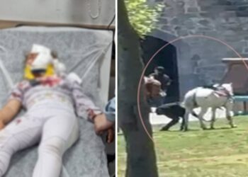 Piknik alanına giren at dehşet saçtı: 1’i çocuk iki kişi yaralandı