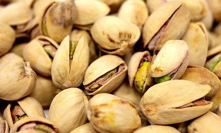 Antep fıstığı üretiminde büyük beklenti