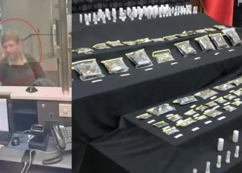 1500 adet endemik türü kaçırırken yakalanan ABD’li müze müdürü serbest bırakıldı