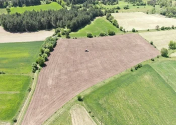 Üç yıl önce denemek için ektiler, şimdi siparişlere yetişemiyorlar!