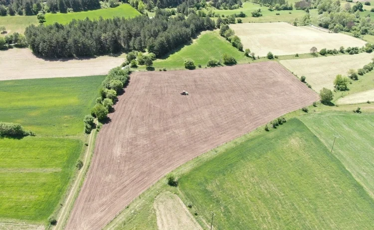 Üç yıl önce denemek için ektiler, şimdi siparişlere yetişemiyorlar!