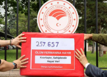 Ankara’da 257 bin imza toplandı: “Öldürme kararından vazgeçin”