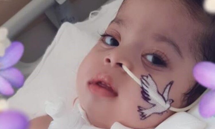 Ölen çocuğun fotoğrafını kullanarak insanları dolandırdı, anne isyan etti! 1 Ölen çocuğun fotoğrafını kullanarak insanları dolandırdı, anne isyan etti!