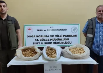 Kaçak salep toplayan kişiye 387 bin lira ceza kesildi