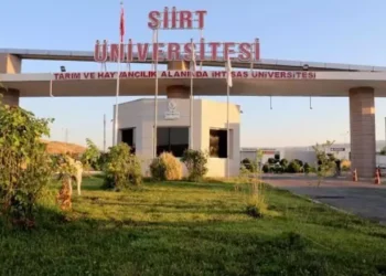 Akademik dolandırıcılık: Öğretim üyesi, rektörünün imzasını taklit etti, milyonlarca lira ile kayıplara karıştı