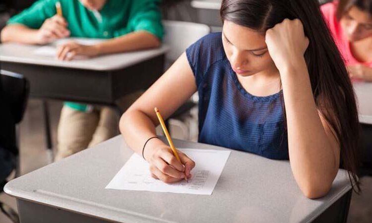 LGS giriş belgeleri yayımlandı 1 LGS giriş belgeleri yayımlandı