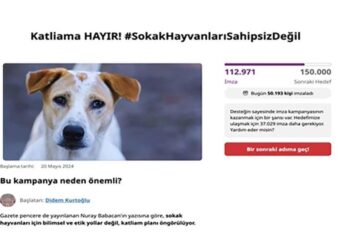 Sokak hayvanları için iki günde 100 binin üzerinde imza toplandı 3 Sokak hayvanları için iki günde 100 binin üzerinde imza toplandı